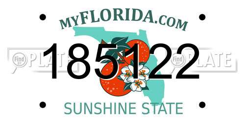 185122 Florida License Plate
