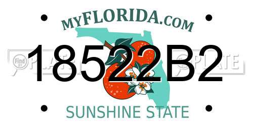 18522B2 Florida License Plate