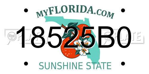 18525B0 Florida License Plate