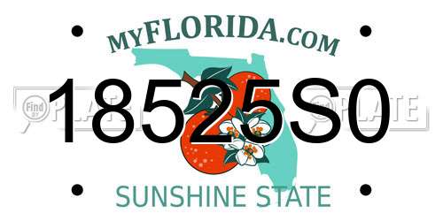 18525S0 Florida License Plate