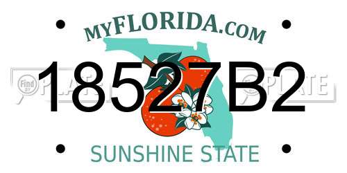 18527B2 Florida License Plate