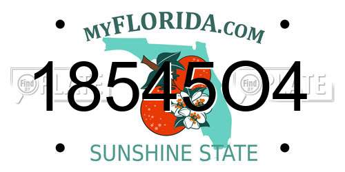 18545O4 Florida License Plate