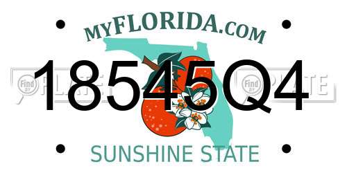 18545Q4 Florida License Plate