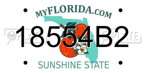 18554B2 Florida License Plate