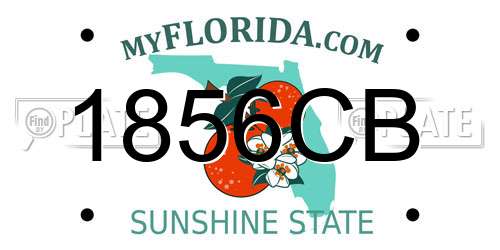 1856CB Florida License Plate