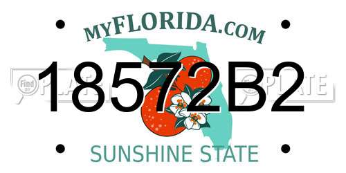 18572B2 Florida License Plate