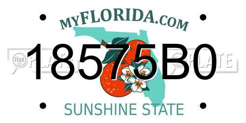 18575B0 Florida License Plate
