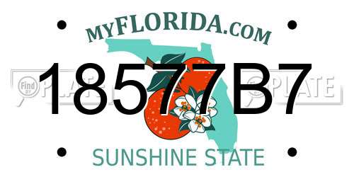 18577B7 Florida License Plate