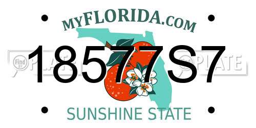 18577S7 Florida License Plate
