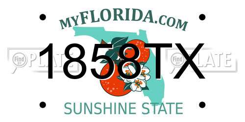1858TX Florida License Plate