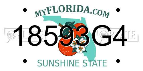 18593G4 Florida License Plate