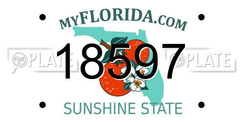 18597 Florida License Plate