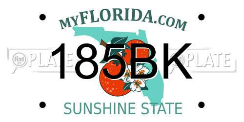 185BK Florida License Plate