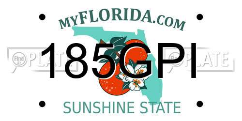 185GPI Florida License Plate