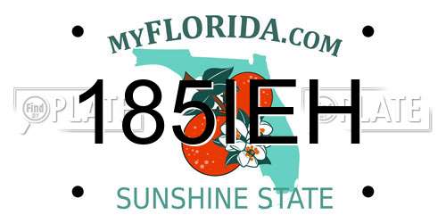 185IEH Florida License Plate