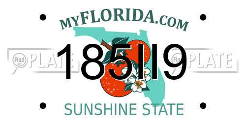185II9 Florida License Plate