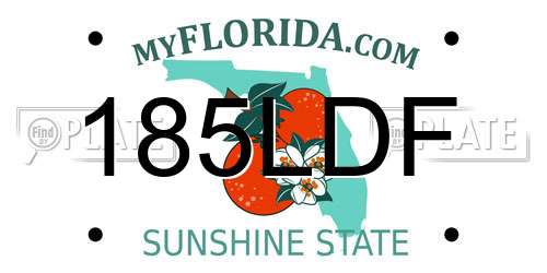 185LDF Florida License Plate