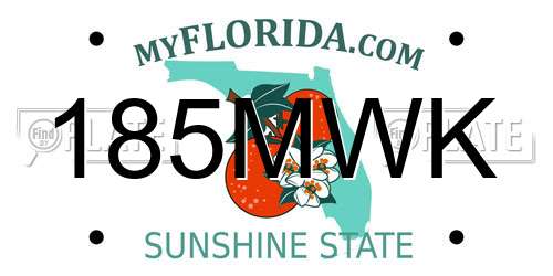 185MWK Florida License Plate