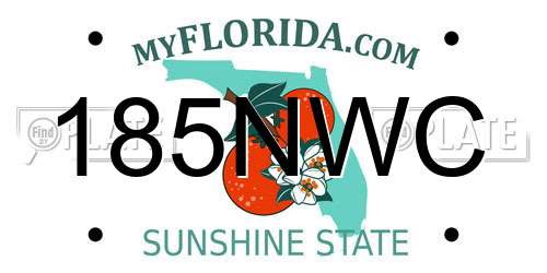 185NWC Florida License Plate