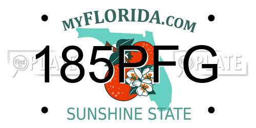 185PFG Florida License Plate