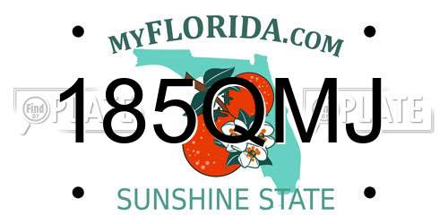 185QMJ Florida License Plate