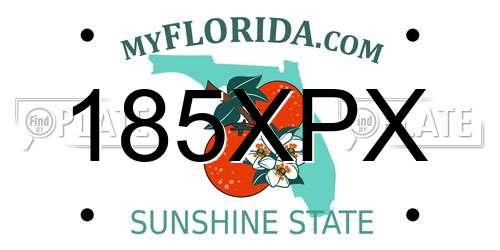 185XPX Florida License Plate
