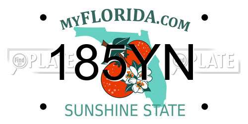 185YN Florida License Plate