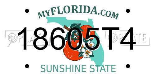 18605T4 Florida License Plate