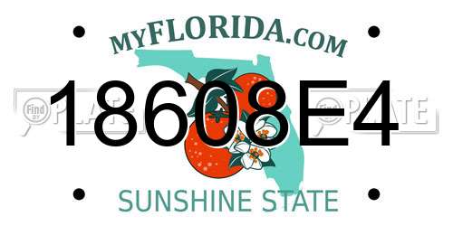 18608E4 Florida License Plate