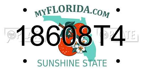 18608T4 Florida License Plate