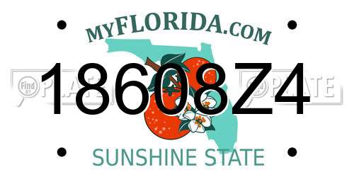 18608Z4 Florida License Plate