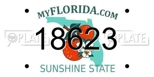 18623 Florida License Plate