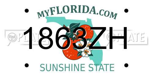 1863ZH Florida License Plate