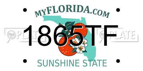 1865TF Florida License Plate