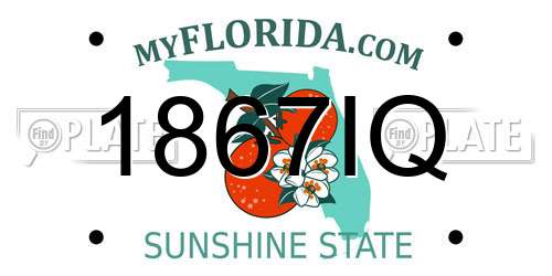 1867IQ Florida License Plate