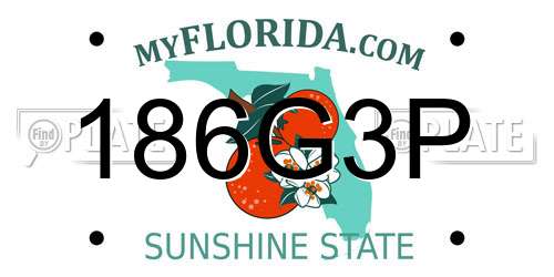 186G3P Florida License Plate