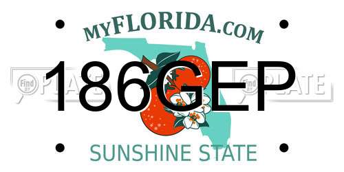 186GEP Florida License Plate