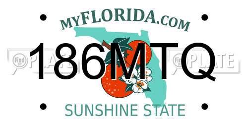 186MTQ Florida License Plate