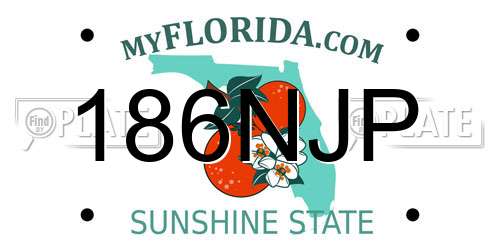 186NJP Florida License Plate