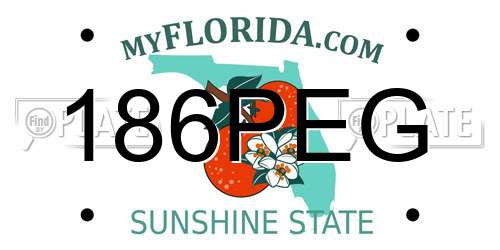 186PEG Florida License Plate