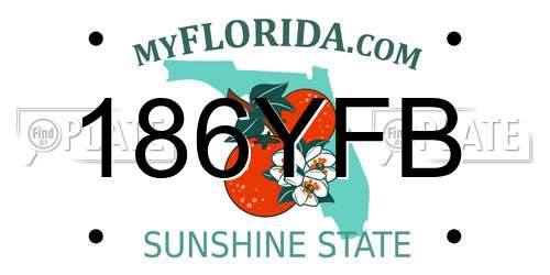 186YFB Florida License Plate