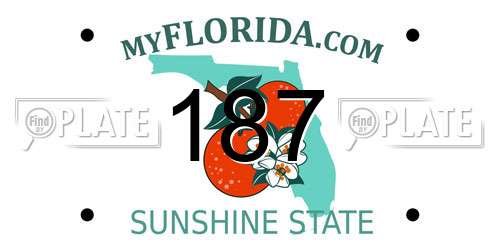 187 Florida License Plate