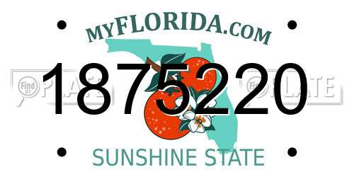1875220 Florida License Plate