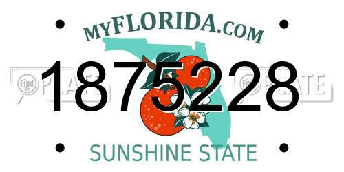 1875228 Florida License Plate