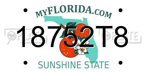 18752T8 Florida License Plate
