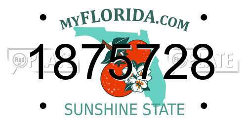 1875728 Florida License Plate