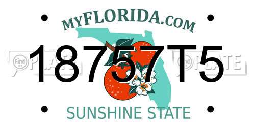18757T5 Florida License Plate