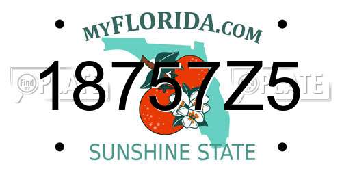 18757Z5 Florida License Plate