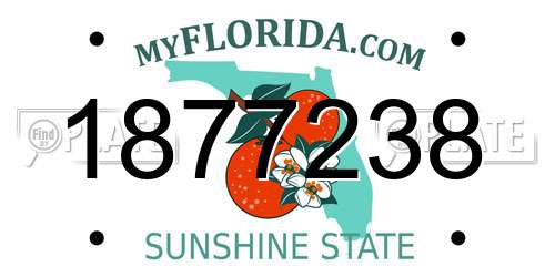 1877238 Florida License Plate