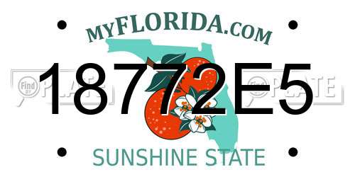 18772E5 Florida License Plate